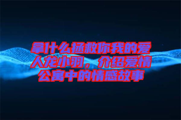 拿什么拯救你我的愛人龍小羽，介紹愛情公寓中的情感故事