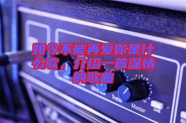 如今不能再愛你是什么歌，介紹一首深情的歌曲