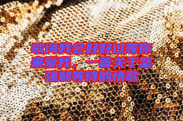 歌詞我會(huì)好好過(guò)等你來(lái)愛(ài)我，一首關(guān)于堅(jiān)強(qiáng)和等待的情歌