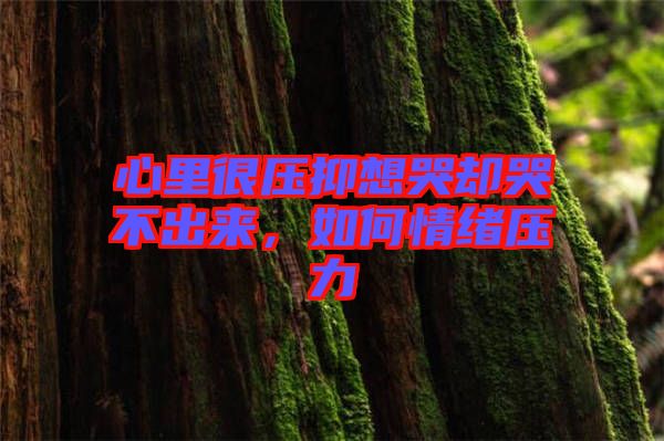 心里很壓抑想哭卻哭不出來，如何情緒壓力