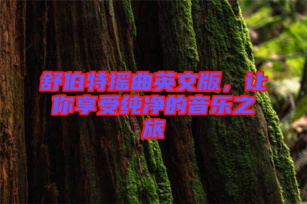舒伯特?fù)u曲英文版，讓你享受純凈的音樂之旅