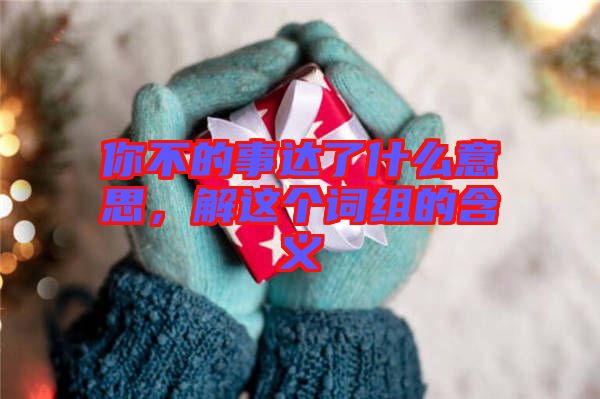 你不的事達了什么意思，解這個詞組的含義