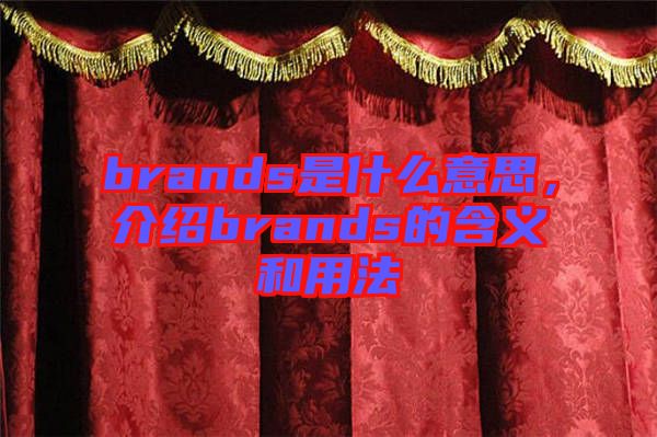 brands是什么意思，介紹brands的含義和用法