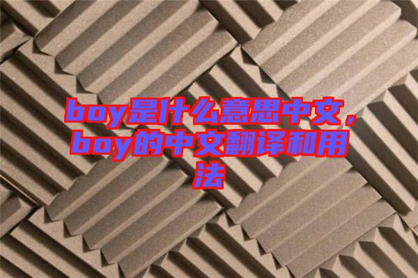 boy是什么意思中文，boy的中文翻譯和用法