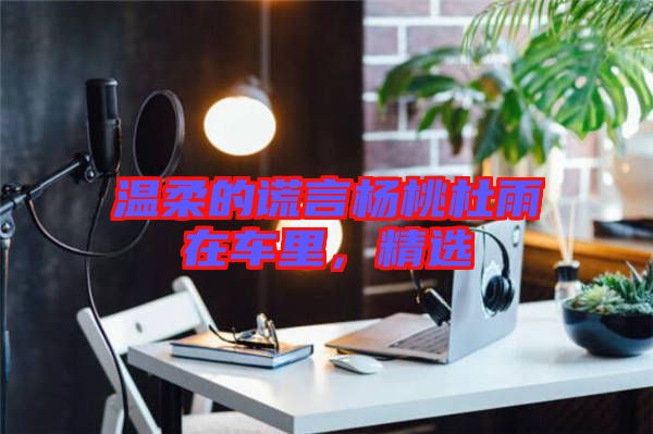 溫柔的謊言楊桃杜雨在車里，精選