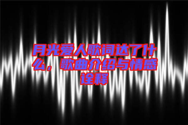 月光愛人歌詞達(dá)了什么，歌曲介紹與情感詮釋
