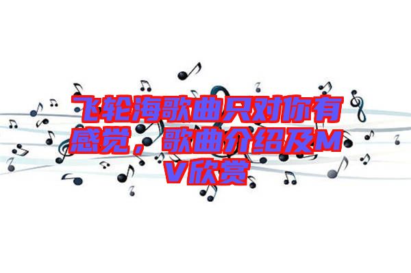 飛輪海歌曲只對你有感覺，歌曲介紹及MV欣賞