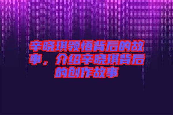 辛曉琪領悟背后的故事，介紹辛曉琪背后的創(chuàng)作故事