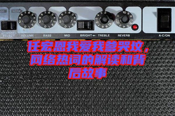 任宏恩我愛我爹哭墳，網(wǎng)絡(luò)熱詞的解讀和背后故事