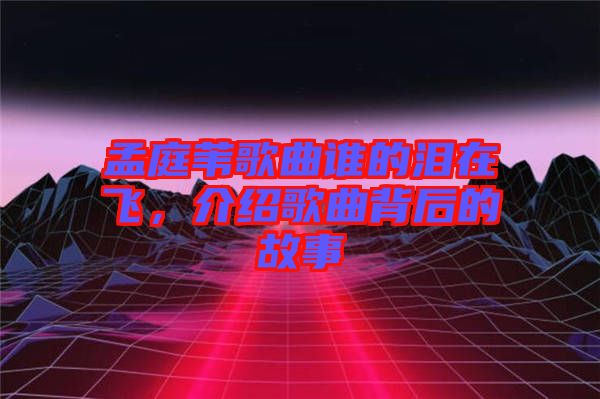 孟庭葦歌曲誰的淚在飛，介紹歌曲背后的故事