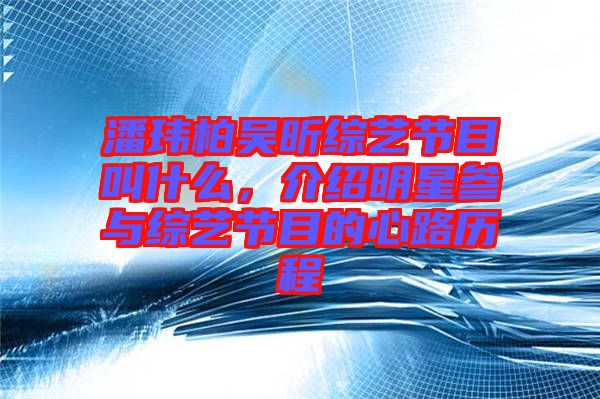 潘瑋柏吳昕綜藝節(jié)目叫什么，介紹明星參與綜藝節(jié)目的心路歷程