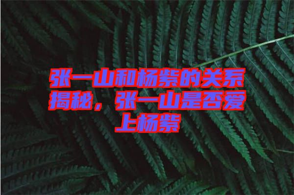 張一山和楊紫的關(guān)系揭秘，張一山是否愛上楊紫