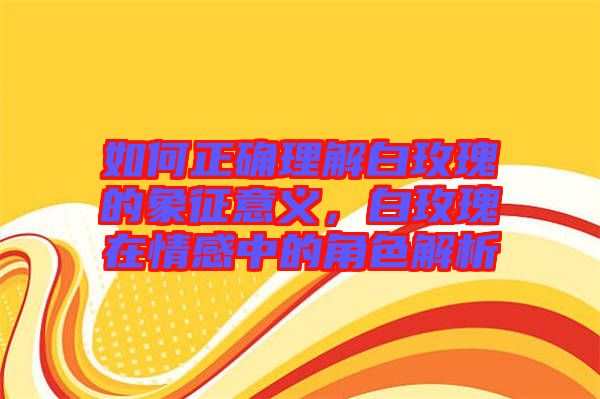 如何正確理解白玫瑰的象征意義，白玫瑰在情感中的角色解析