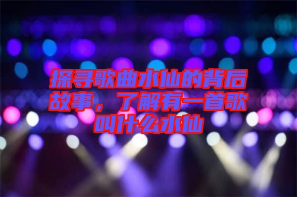 探尋歌曲水仙的背后故事，了解有一首歌叫什么水仙