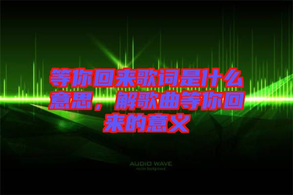 等你回來歌詞是什么意思，解歌曲等你回來的意義