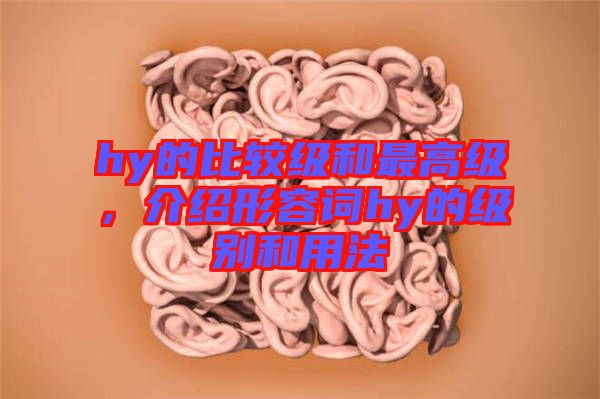 hy的比較級和最高級，介紹形容詞hy的級別和用法