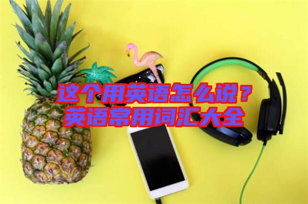 這個用英語怎么說？英語常用詞匯大全