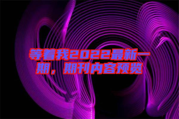 等著我2022最新一期，期刊內(nèi)容預(yù)覽