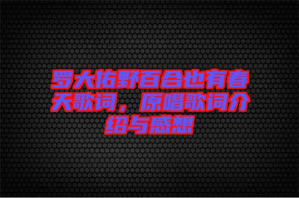 羅大佑野百合也有春天歌詞，原唱歌詞介紹與感想