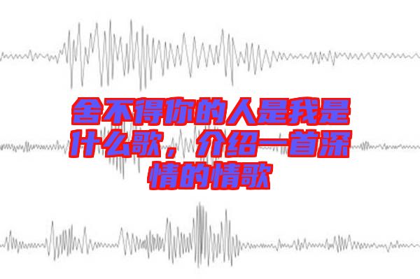 舍不得你的人是我是什么歌，介紹一首深情的情歌