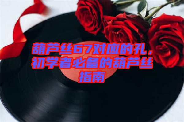 葫蘆絲67對應的孔，初學者必備的葫蘆絲指南