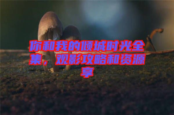 你和我的傾城時光全集，觀影攻略和資源享