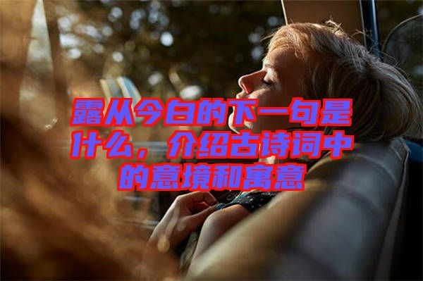 露從今白的下一句是什么，介紹古詩詞中的意境和寓意