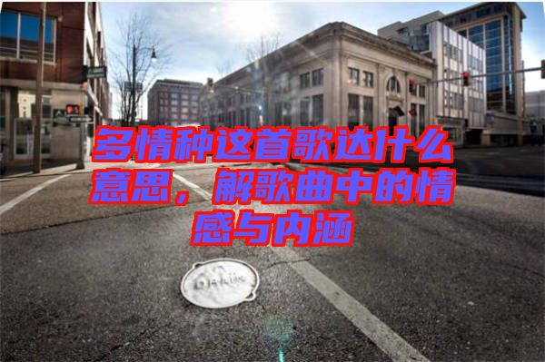 多情種這首歌達(dá)什么意思，解歌曲中的情感與內(nèi)涵