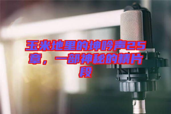 玉米地里的坤吟聲25章，一部神秘的精片段