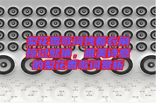 梨花香歌詞拽著衣角掠過熙攘，唯美詩意的梨花香歌詞賞析