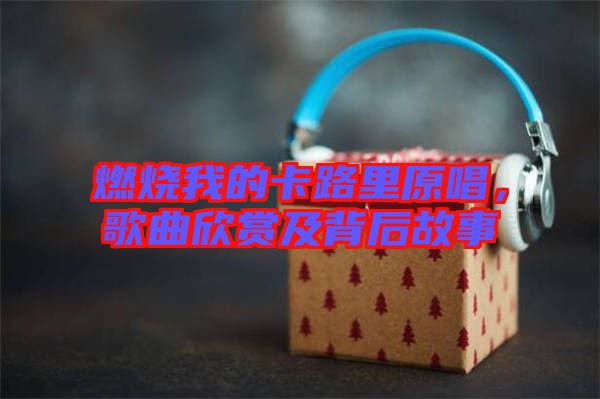 燃燒我的卡路里原唱，歌曲欣賞及背后故事