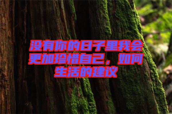 沒有你的日子里我會更加珍惜自己，如何生活的建議