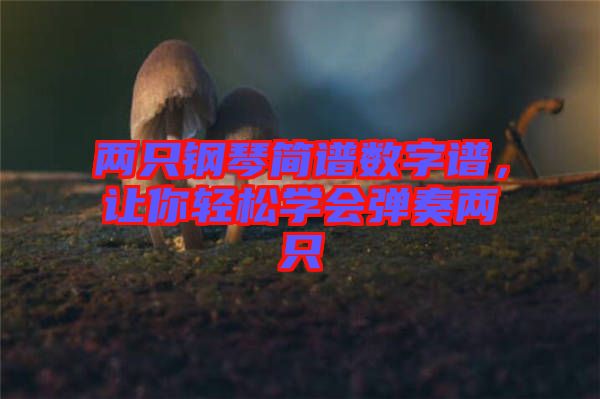 兩只鋼琴簡譜數(shù)字譜，讓你輕松學(xué)會(huì)彈奏兩只