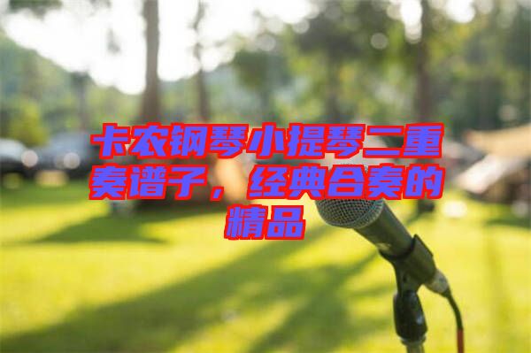 卡農(nóng)鋼琴小提琴二重奏譜子，經(jīng)典合奏的精品