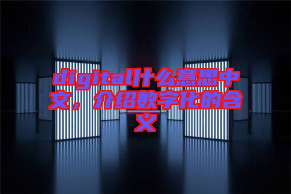 digital什么意思中文，介紹數(shù)字化的含義