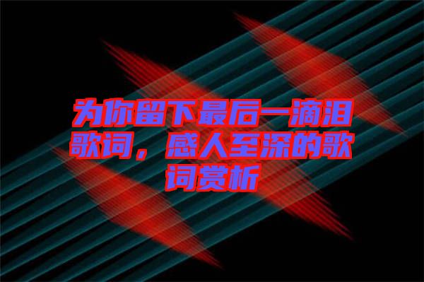 為你留下最后一滴淚歌詞，感人至深的歌詞賞析