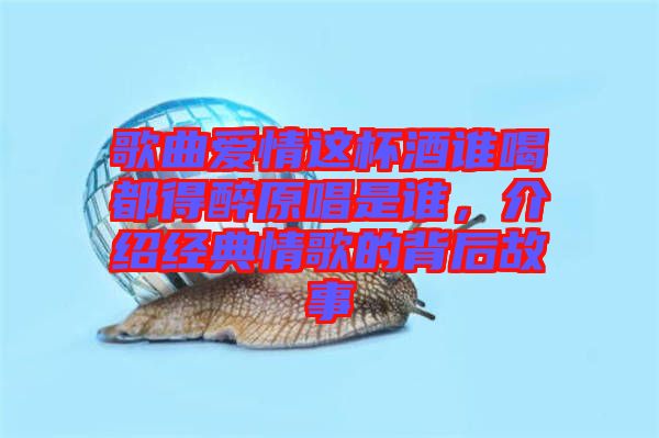 歌曲愛情這杯酒誰喝都得醉原唱是誰，介紹經典情歌的背后故事
