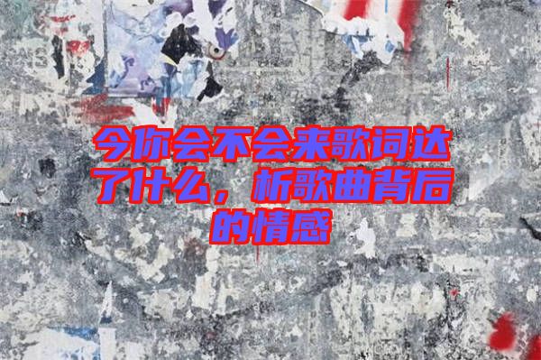 今你會不會來歌詞達了什么，析歌曲背后的情感