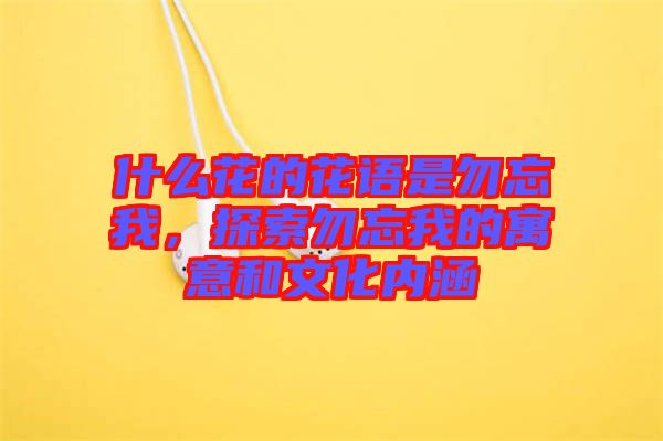 什么花的花語是勿忘我，探索勿忘我的寓意和文化內涵
