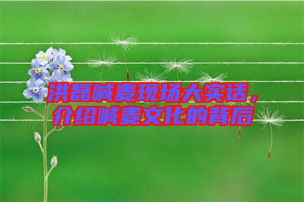 洪磊喊麥現(xiàn)場大實(shí)話，介紹喊麥文化的背后