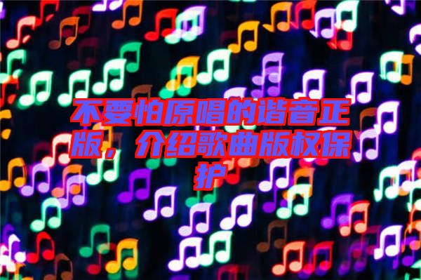 不要怕原唱的諧音正版，介紹歌曲版權保護