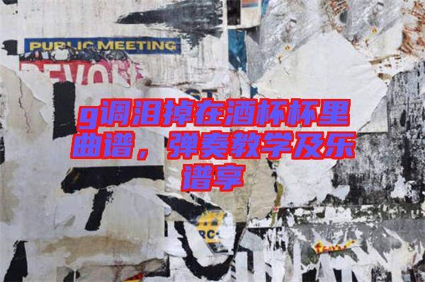 g調(diào)淚掉在酒杯杯里曲譜，彈奏教學(xué)及樂譜享