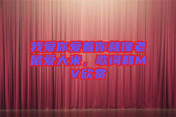 我愛你愛著你就像老鼠愛大米，歌詞和MV欣賞