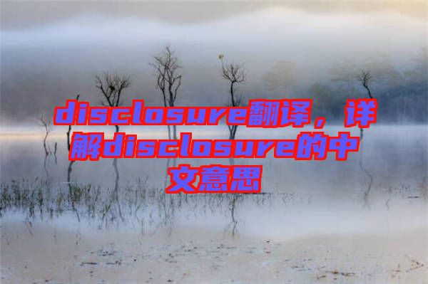 disclosure翻譯，詳解disclosure的中文意思