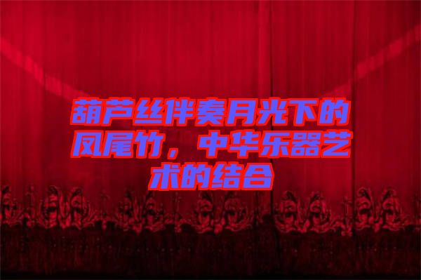 葫蘆絲伴奏月光下的鳳尾竹，中華樂器藝術(shù)的結(jié)合