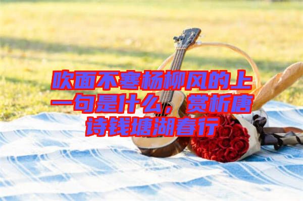 吹面不寒楊柳風(fēng)的上一句是什么，賞析唐詩(shī)錢塘湖春行