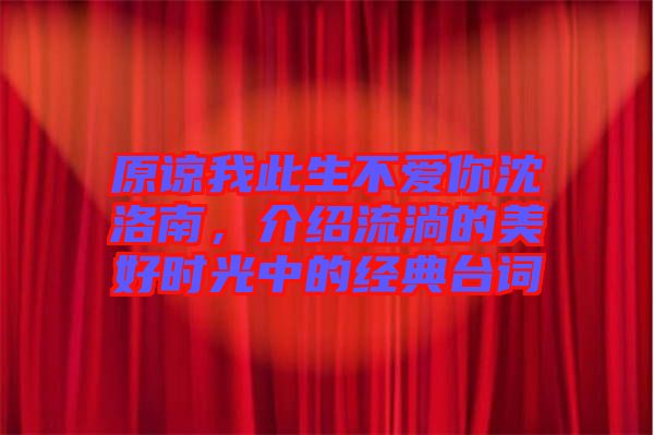原諒我此生不愛你沈洛南，介紹流淌的美好時光中的經典臺詞