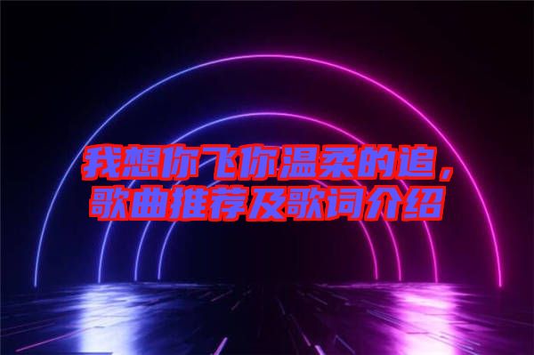 我想你飛你溫柔的追，歌曲推薦及歌詞介紹