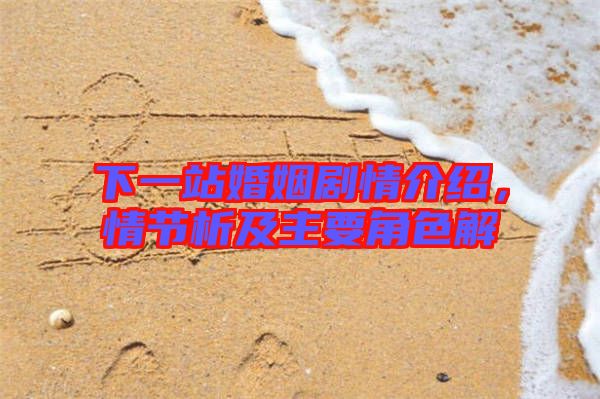 下一站婚姻劇情介紹，情節(jié)析及主要角色解