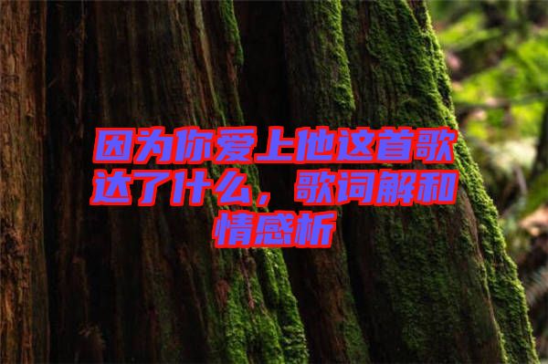 因為你愛上他這首歌達(dá)了什么，歌詞解和情感析
